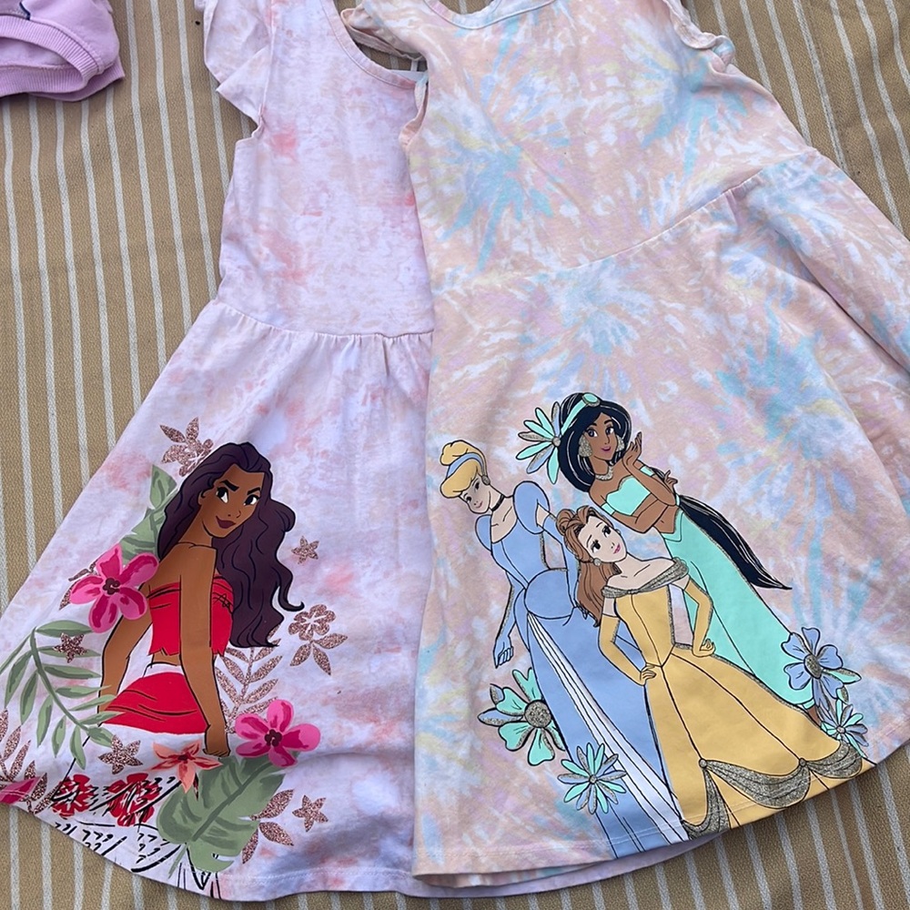 Disney princess bundle